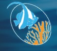 Reef Check logo